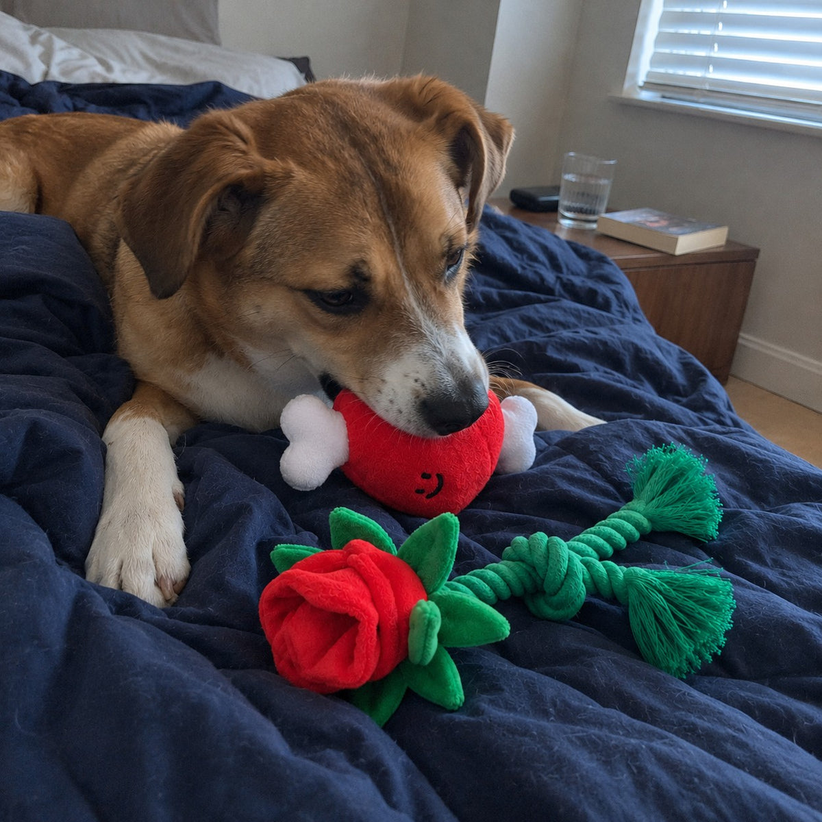 Valentine Snuffle Duo — Heart & Rose